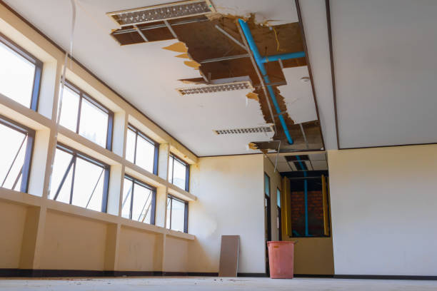 Best Wood Floor Water Damage Restoration in Crestwood Village, NJ